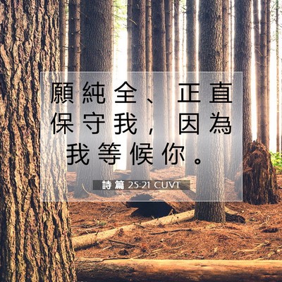 Picture 07 - 詩 篇 25:21 CUVT - 願 純 全 、 正 直 保 守 我 ， 因 為 - Bible Verse Picture