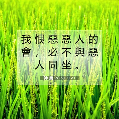 Picture 07 - 詩 篇 26:5 CUVT - 我 恨 惡 惡 人 的 會 ， 必 不 與 惡 - Bible Verse Picture