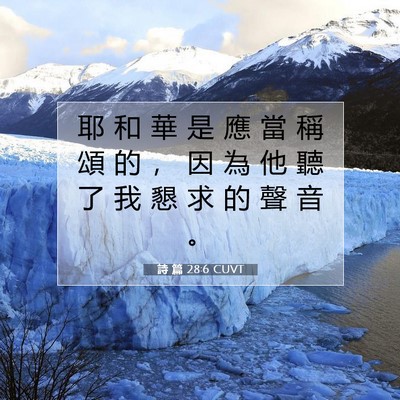 Picture 07 - 詩 篇 28:6 CUVT - 耶 和 華 是 應 當 稱 頌 的 ， 因 為 - Bible Verse Picture