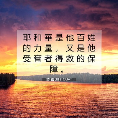 Picture 07 - 詩 篇 28:8 CUVT - 耶 和 華 是 他 百 姓 的 力 量 ， 又 - Bible Verse Picture