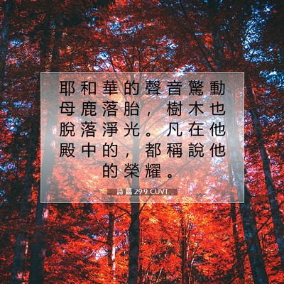 Picture 07 - 詩 篇 29:9 CUVT - 耶 和 華 的 聲 音 驚 動 母 鹿 落 胎 - Bible Verse Picture