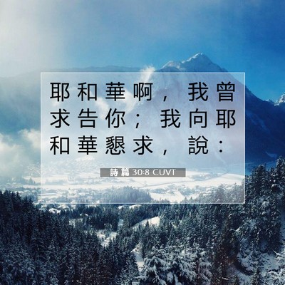 Picture 07 - 詩 篇 30:8 CUVT - 耶 和 華 啊 ， 我 曾 求 告 你 ； 我 - Bible Verse Picture