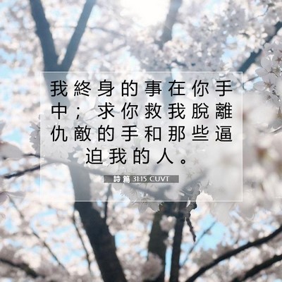 Picture 07 - 詩 篇 31:15 CUVT - 我 終 身 的 事 在 你 手 中 ； 求 你 - Bible Verse Picture