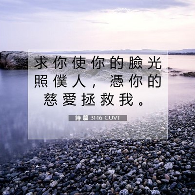 Picture 07 - 詩 篇 31:16 CUVT - 求 你 使 你 的 臉 光 照 僕 人 ， 憑 - Bible Verse Picture