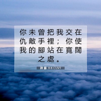 Picture 07 - 詩 篇 31:8 CUVT - 你 未 曾 把 我 交 在 仇 敵 手 裡 ； - Bible Verse Picture