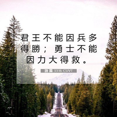 Picture 07 - 詩 篇 33:16 CUVT - 君 王 不 能 因 兵 多 得 勝 ； 勇 士 - Bible Verse Picture