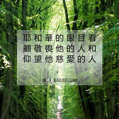 Picture 07 - 詩 篇 33:18 CUVT - 耶 和 華 的 眼 目 看 顧 敬 畏 他 的 - Bible Verse Picture