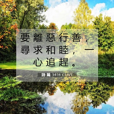 Picture 07 - 詩 篇 34:14 CUVT - 要 離 惡 行 善 ， 尋 求 和 睦 ， 一 - Bible Verse Picture