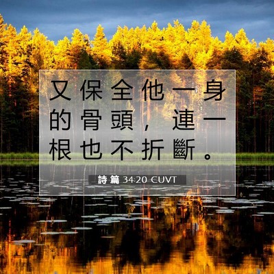 Picture 07 - 詩 篇 34:20 CUVT - 又 保 全 他 一 身 的 骨 頭 ， 連 一 - Bible Verse Picture