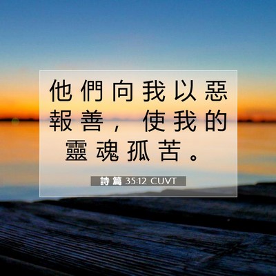 Picture 07 - 詩 篇 35:12 CUVT - 他 們 向 我 以 惡 報 善 ， 使 我 的 - Bible Verse Picture