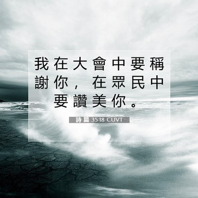Picture 07 - 詩 篇 35:18 CUVT - 我 在 大 會 中 要 稱 謝 你 ， 在 眾 - Bible Verse Picture