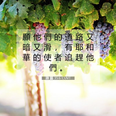 Picture 07 - 詩 篇 35:6 CUVT - 願 他 們 的 道 路 又 暗 又 滑 ， 有 - Bible Verse Picture