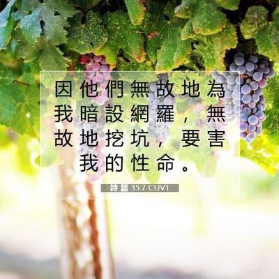 Picture 07 - 詩 篇 35:7 CUVT - 因 他 們 無 故 地 為 我 暗 設 網 羅 - Bible Verse Picture
