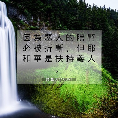 Picture 07 - 詩 篇 37:17 CUVT - 因 為 惡 人 的 膀 臂 必 被 折 斷 ； - Bible Verse Picture