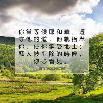 Picture 07 - 詩 篇 37:34 CUVT - 你 當 等 候 耶 和 華 ， 遵 守 他 的 - Bible Verse Picture