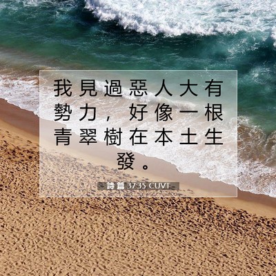 Picture 07 - 詩 篇 37:35 CUVT - 我 見 過 惡 人 大 有 勢 力 ， 好 像 - Bible Verse Picture