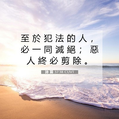 Picture 07 - 詩 篇 37:38 CUVT - 至 於 犯 法 的 人 ， 必 一 同 滅 絕 - Bible Verse Picture