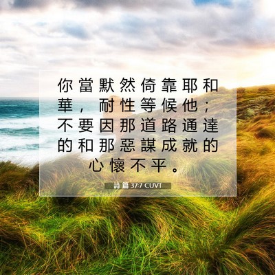 Picture 07 - 詩 篇 37:7 CUVT - 你 當 默 然 倚 靠 耶 和 華 ， 耐 性 - Bible Verse Picture