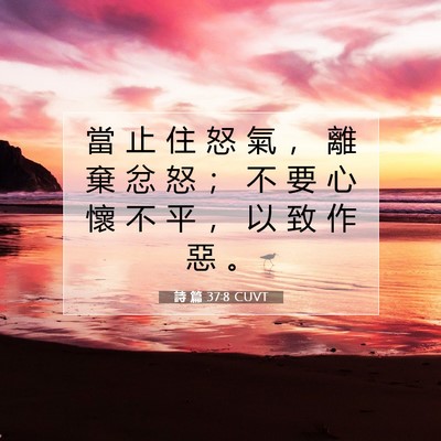 Picture 07 - 詩 篇 37:8 CUVT - 當 止 住 怒 氣 ， 離 棄 忿 怒 ； 不 - Bible Verse Picture