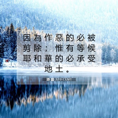 Picture 07 - 詩 篇 37:9 CUVT - 因 為 作 惡 的 必 被 剪 除 ； 惟 有 - Bible Verse Picture