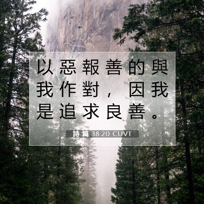 Picture 07 - 詩 篇 38:20 CUVT - 以 惡 報 善 的 與 我 作 對 ， 因 我 - Bible Verse Picture
