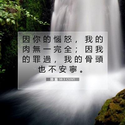 Picture 07 - 詩 篇 38:3 CUVT - 因 你 的 惱 怒 ， 我 的 肉 無 一 完 - Bible Verse Picture