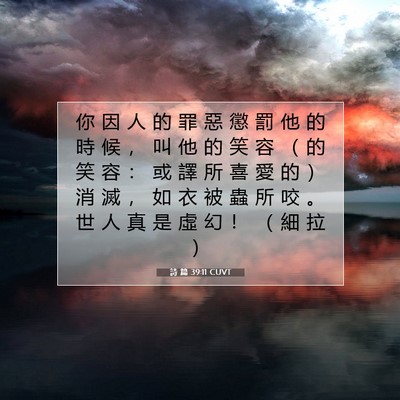 Picture 07 - 詩 篇 39:11 CUVT - 你 因 人 的 罪 惡 懲 罰 他 的 時 候 - Bible Verse Picture