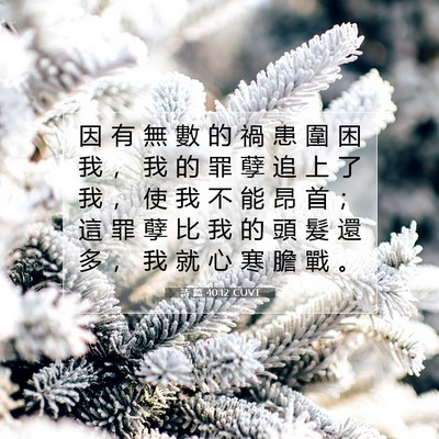 Picture 07 - 詩 篇 40:12 CUVT - 因 有 無 數 的 禍 患 圍 困 我 ， 我 - Bible Verse Picture