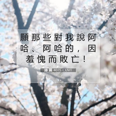 Picture 07 - 詩 篇 40:15 CUVT - 願 那 些 對 我 說 阿 哈 、 阿 哈 的 - Bible Verse Picture