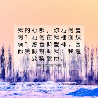 Picture 07 - 詩 篇 42:5 CUVT - 我 的 心 哪 ， 你 為 何 憂 悶 ？ 為 - Bible Verse Picture