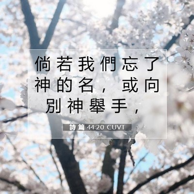 Picture 07 - 詩 篇 44:20 CUVT - 倘 若 我 們 忘 了 神 的 名 ， 或 向 - Bible Verse Picture