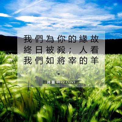 Picture 07 - 詩 篇 44:22 CUVT - 我 們 為 你 的 緣 故 終 日 被 殺 ； - Bible Verse Picture