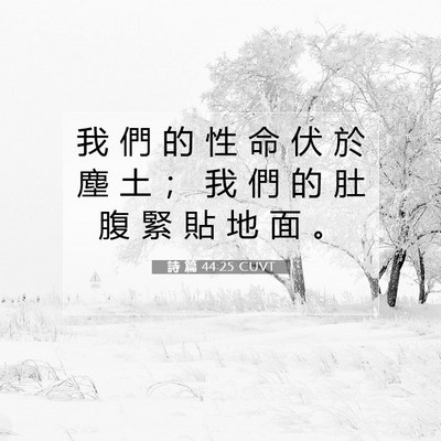 Picture 07 - 詩 篇 44:25 CUVT - 我 們 的 性 命 伏 於 塵 土 ； 我 們 - Bible Verse Picture