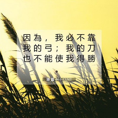 Picture 07 - 詩 篇 44:6 CUVT - 因 為 ， 我 必 不 靠 我 的 弓 ； 我 - Bible Verse Picture