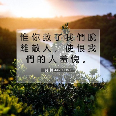Picture 07 - 詩 篇 44:7 CUVT - 惟 你 救 了 我 們 脫 離 敵 人 ， 使 - Bible Verse Picture