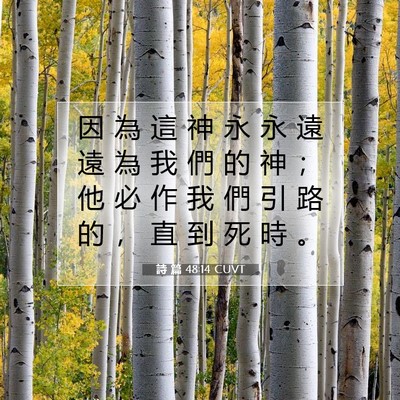 Picture 07 - 詩 篇 48:14 CUVT - 因 為 這 神 永 永 遠 遠 為 我 們 的 - Bible Verse Picture