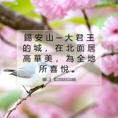 Picture 07 - 詩 篇 48:2 CUVT - 錫 安 山 ─ 大 君 王 的 城 ， 在 北 - Bible Verse Picture