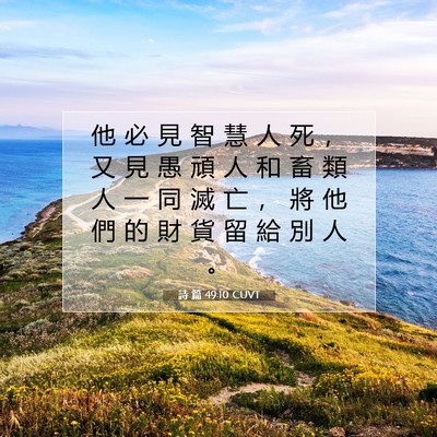Picture 07 - 詩 篇 49:10 CUVT - 他 必 見 智 慧 人 死 ， 又 見 愚 頑 - Bible Verse Picture