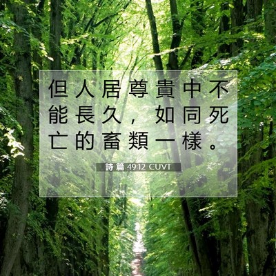Picture 07 - 詩 篇 49:12 CUVT - 但 人 居 尊 貴 中 不 能 長 久 ， 如 - Bible Verse Picture