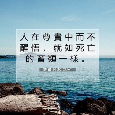 Picture 07 - 詩 篇 49:20 CUVT - 人 在 尊 貴 中 而 不 醒 悟 ， 就 如 - Bible Verse Picture