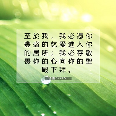 Picture 07 - 詩 篇 5:7 CUVT - 至 於 我 ， 我 必 憑 你 豐 盛 的 慈 - Bible Verse Picture