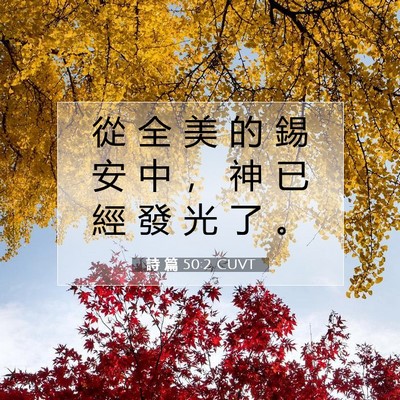 Picture 07 - 詩 篇 50:2 CUVT - 從 全 美 的 錫 安 中 ， 神 已 經 發 - Bible Verse Picture