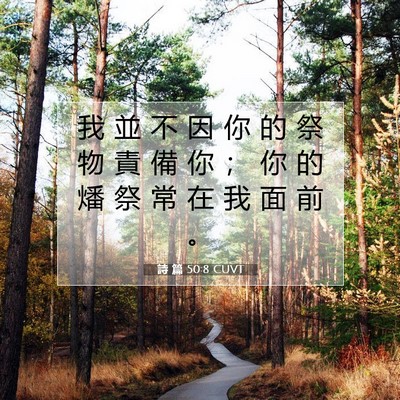 Picture 07 - 詩 篇 50:8 CUVT - 我 並 不 因 你 的 祭 物 責 備 你 ； - Bible Verse Picture