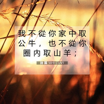 Picture 07 - 詩 篇 50:9 CUVT - 我 不 從 你 家 中 取 公 牛 ， 也 不 - Bible Verse Picture