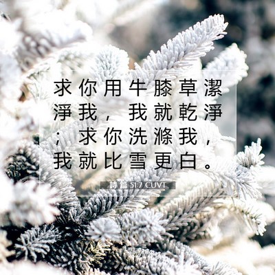 Picture 07 - 詩 篇 51:7 CUVT - 求 你 用 牛 膝 草 潔 淨 我 ， 我 就 - Bible Verse Picture