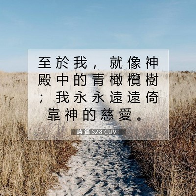 Picture 07 - 詩 篇 52:8 CUVT - 至 於 我 ， 就 像 神 殿 中 的 青 橄 - Bible Verse Picture
