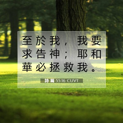 Picture 07 - 詩 篇 55:16 CUVT - 至 於 我 ， 我 要 求 告 神 ； 耶 和 - Bible Verse Picture