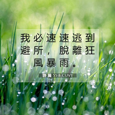 Picture 07 - 詩 篇 55:8 CUVT - 我 必 速 速 逃 到 避 所 ， 脫 離 狂 - Bible Verse Picture
