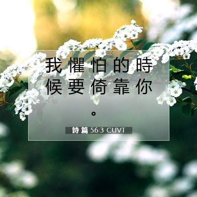 Picture 07 - 詩 篇 56:3 CUVT - 我 懼 怕 的 時 候 要 倚 靠 你 - Bible Verse Picture