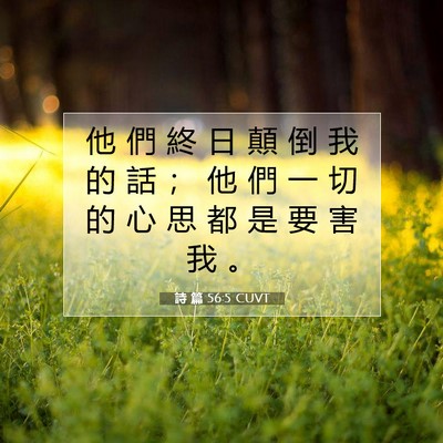Picture 07 - 詩 篇 56:5 CUVT - 他 們 終 日 顛 倒 我 的 話 ； 他 們 - Bible Verse Picture